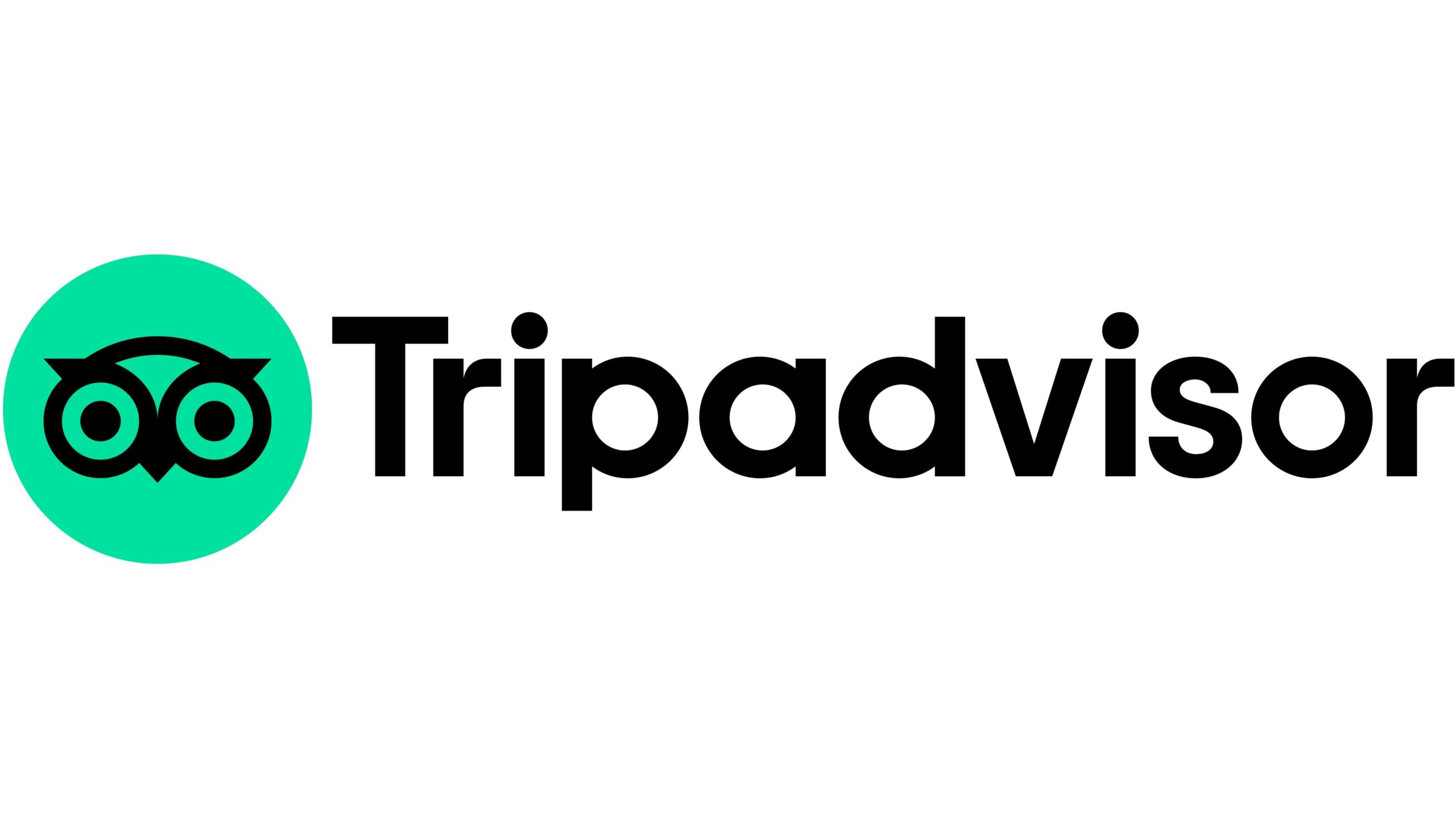 TripAdvisor-logo-1 (1)