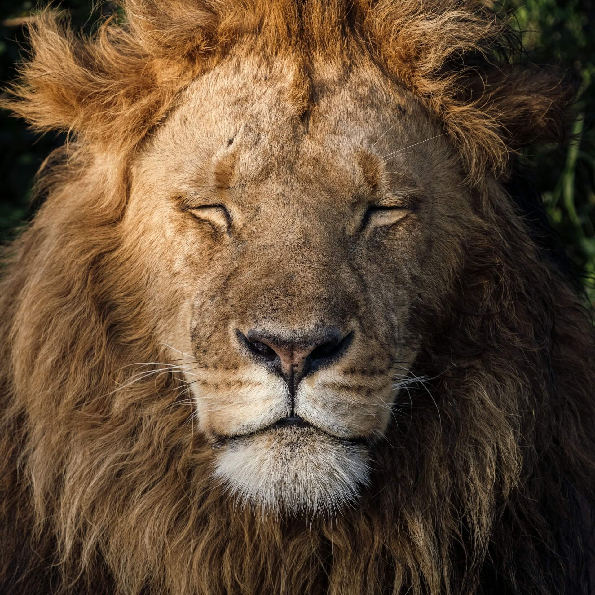 ahmed-galal-aryNuTSV1lA-unsplash