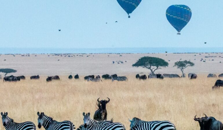 6 Days Masai Mara Lake Nakuru Naivasha Amboseli Tsavo Safari Experience